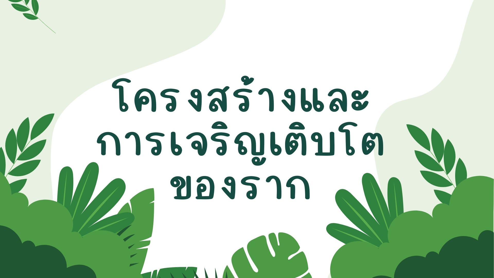 รูปปก